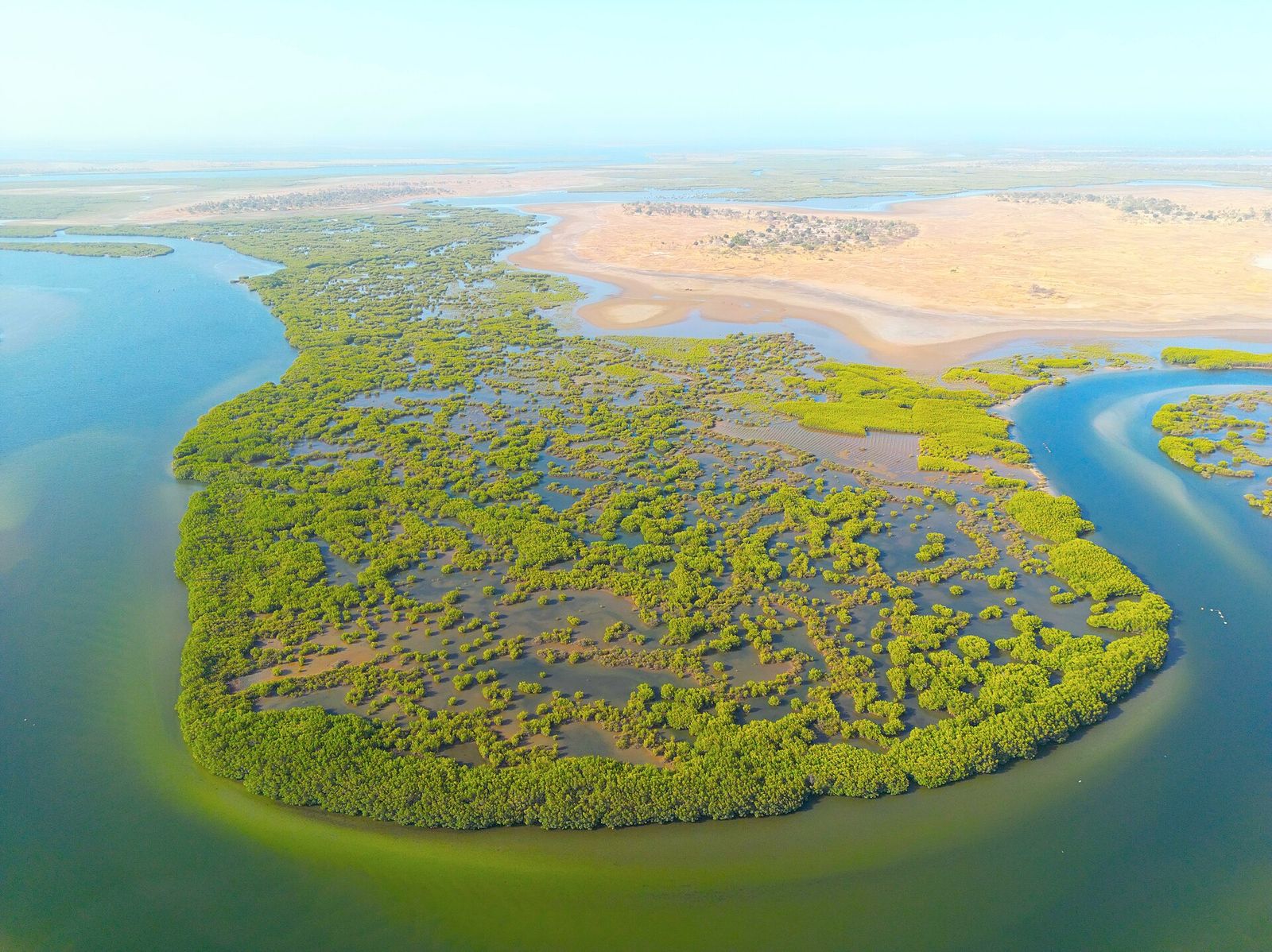 Delta du Sine Saloum