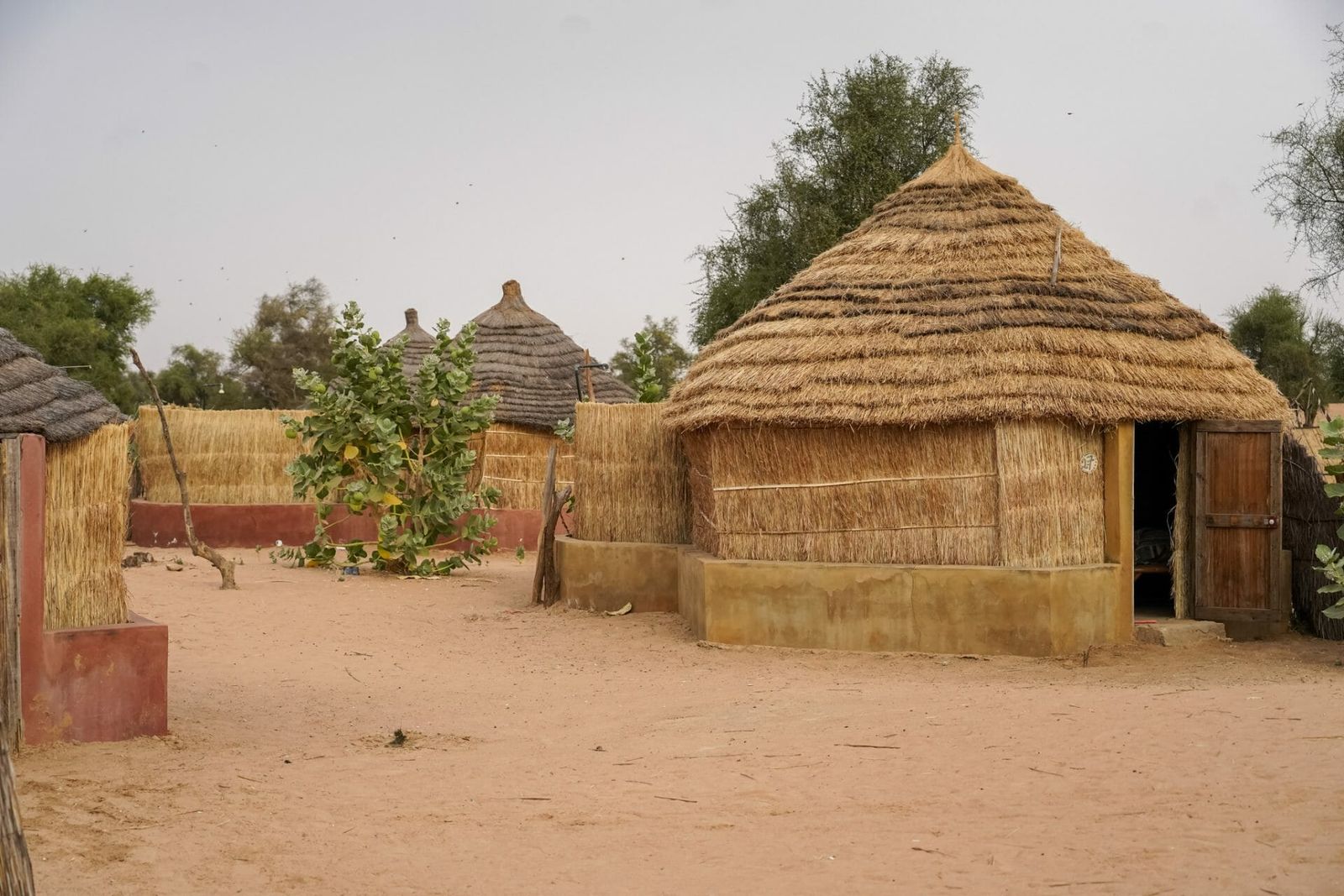 Des cases au toit de chaume dans un village du Sénégal